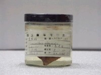 藏品(單棘魨)的圖片